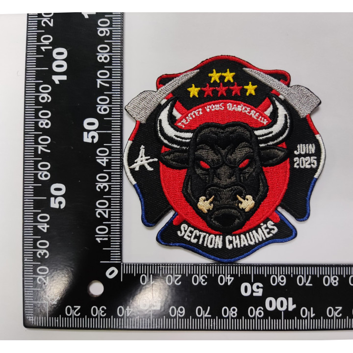 ECUSSONS POMPIERS PARIS BSPP SECTION CHAUMES BRODERIE