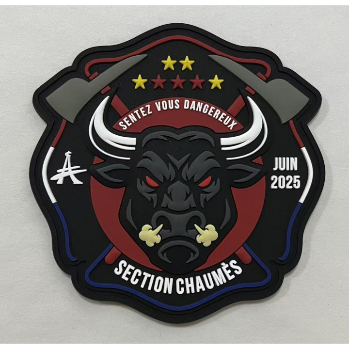 ECUSSONS POMPIERS PARIS BSPP SECTION CHAUMES PVC