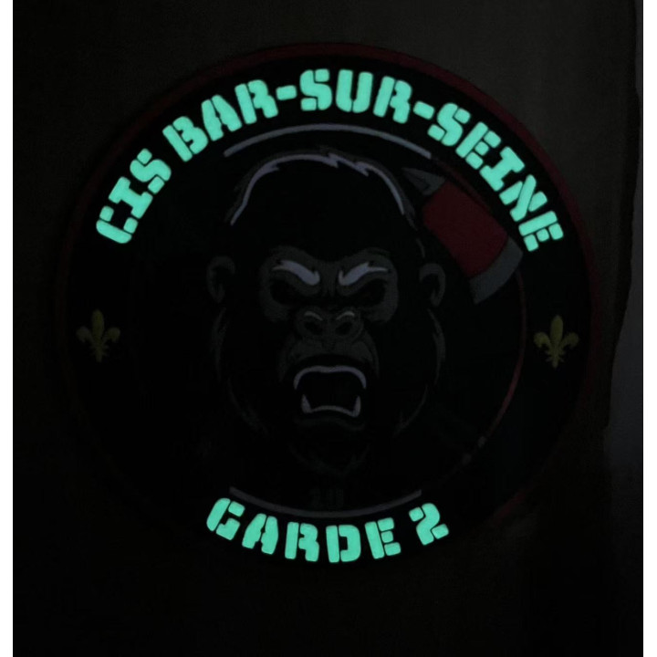 ECUSSONS POMPIERS BAR SUR SEINE SDIS 10 GARDE 2