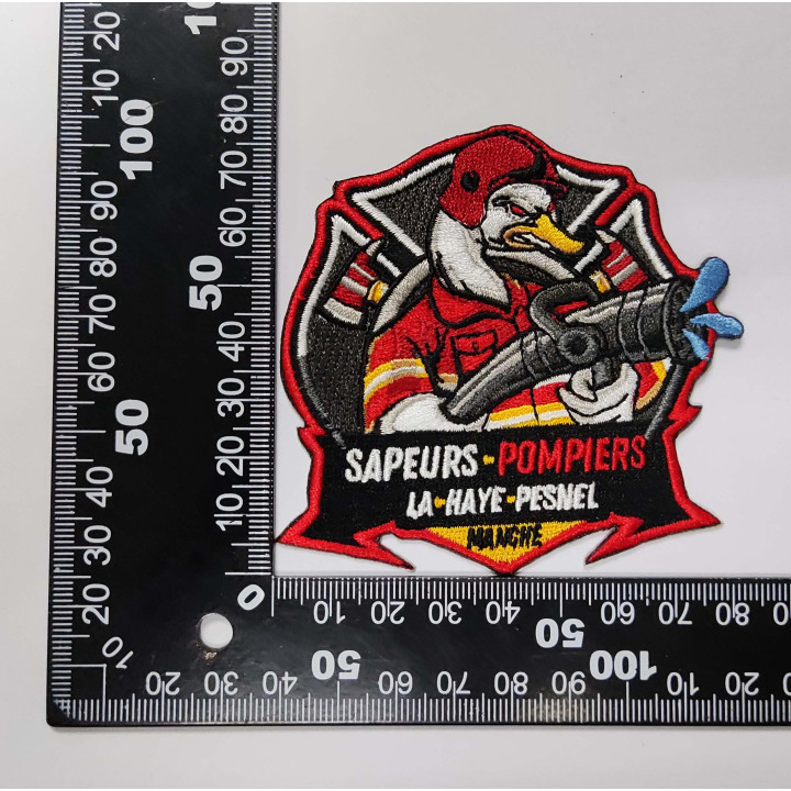 ECUSSONS POMPIERS LA HAYE PESNEL SDIS 50