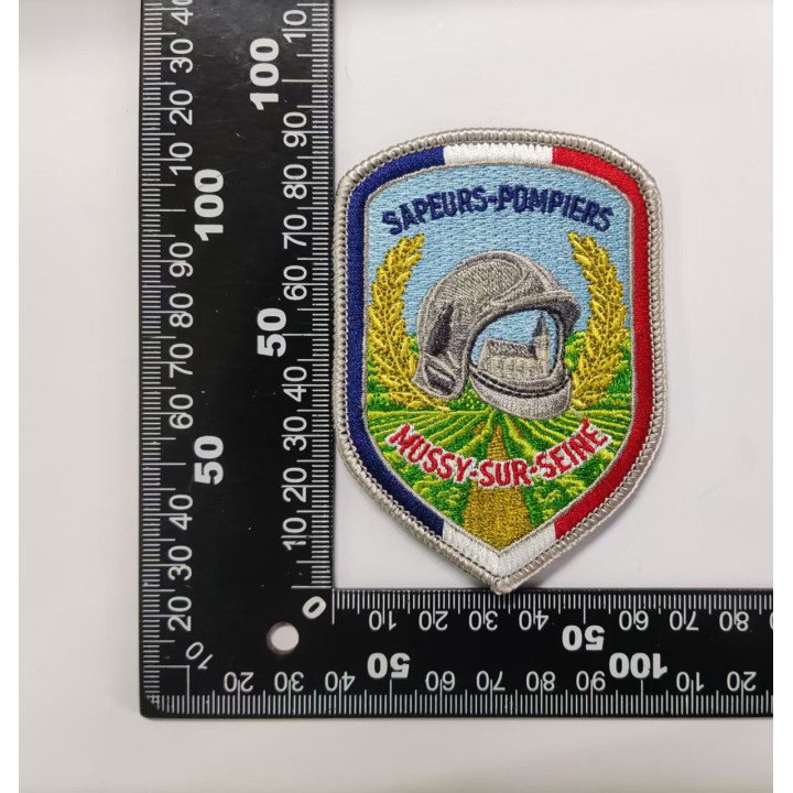 ECUSSONS POMPIERS MUSSY SUR SEINE SDIS 10