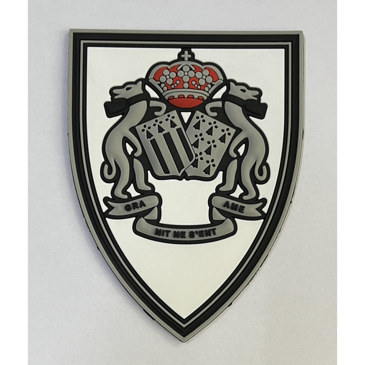 ECUSSONS POLICE CRS 09  RENNES