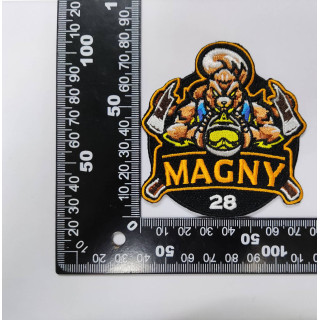 ECUSSONS POMPIERS MAGNY SDIS 28