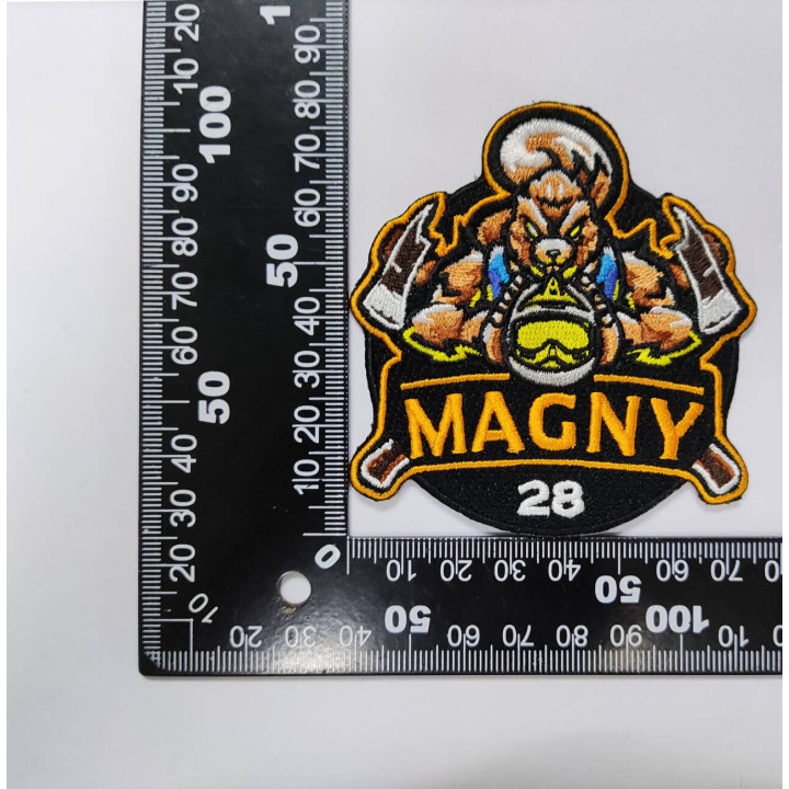 ECUSSONS POMPIERS MAGNY SDIS 28