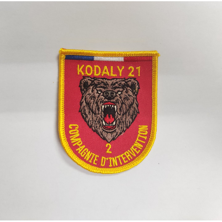ECUSSONS POMPIERS KODALY 21 UIISC 1 NOGENT LE ROTROU