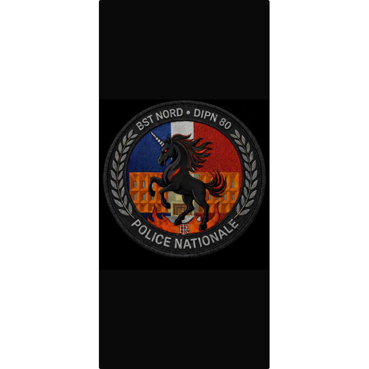 ECUSSONS POLICE NATIONALE DIPN 80 BST NORD  PVC
