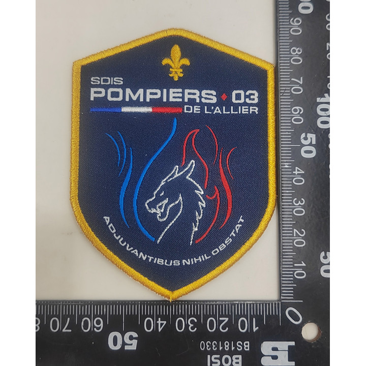 ECUSSONS POMPIERS SDIS 03 ALLIER