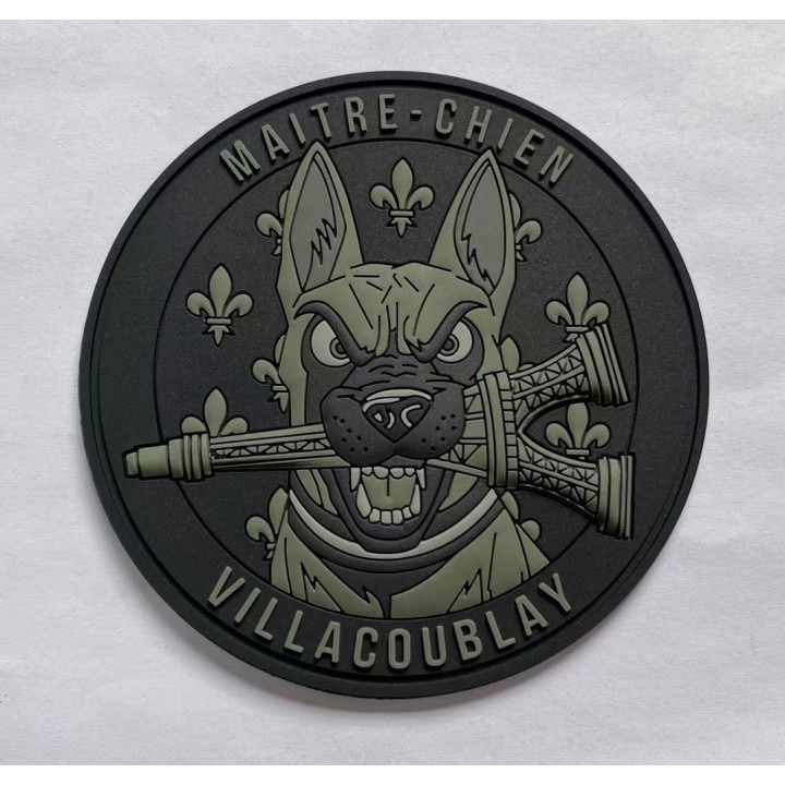 ECUSSONS MILITAIRES MAITRE CHEIN BASE AERIENNE VILLACOUBLAY BV