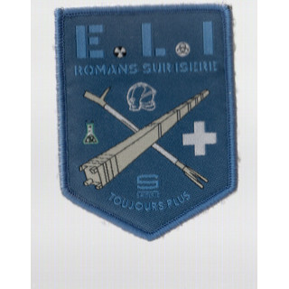 ECUSSONS POMPIERS SOCIETE ELI SAMSIC 38