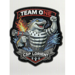 ECUSSONS POMPIERS LORIENT TEAM ONE SDIS 56