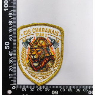 ECUSSONS POMPIERS CHABANAIS EQUIPE 3 SDIS 16