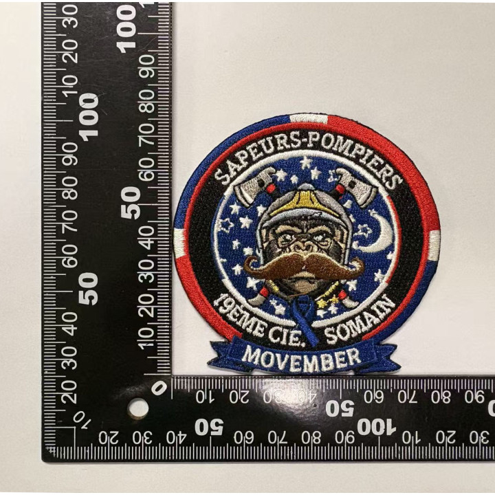 ECUSSONS POMPIERS SOMAIN SDIS 59 MOVEMBER