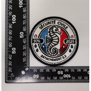 ECUSSONS DETACHEMENT MAYOTTE UIISC  2.3 SDIS 976 2025