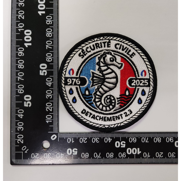 ECUSSONS DETACHEMENT MAYOTTE UIISC  2.3 SDIS 976 2025