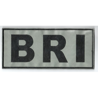 * ECUSSONS FLAP DORSAL POLICE NATIONALE BRI