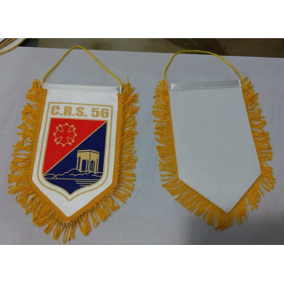 FANION POLICE NATIONALE CRS 56