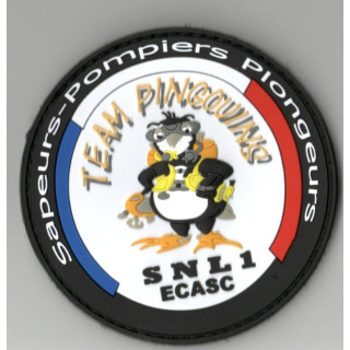 ECUSSONS POMPIERS PLONGEURS SNL 1 ECASC TEAM PINGOUNS