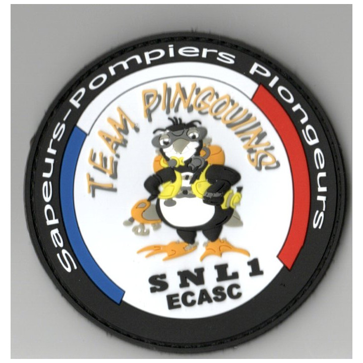 ECUSSONS POMPIERS PLONGEURS SNL 1 ECASC TEAM PINGOUNS