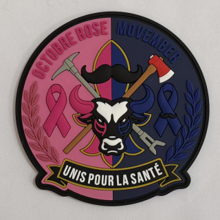 ECUSSONS POMPIERS PONT EVEQUE UNIS POUR LA SANTE SDIS 14