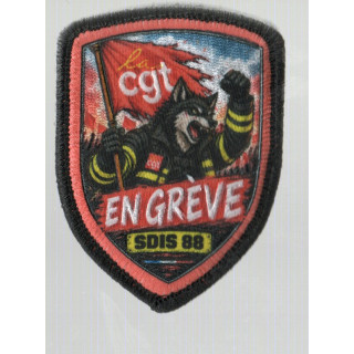 ECUSSONS  POMPIERS CGT SDIS 88