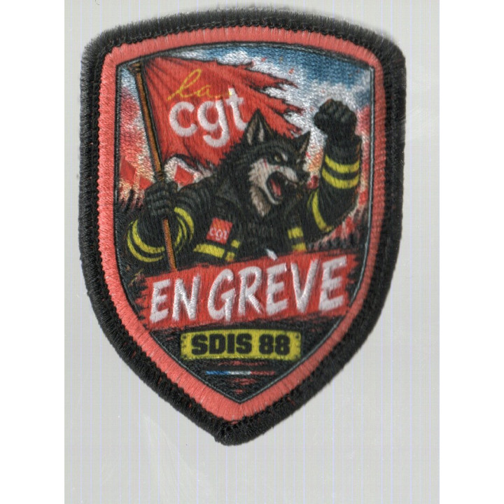 ECUSSONS  POMPIERS CGT SDIS 88