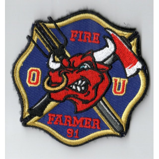 ECUSSONS POMPIERS ULIS SDIS 91