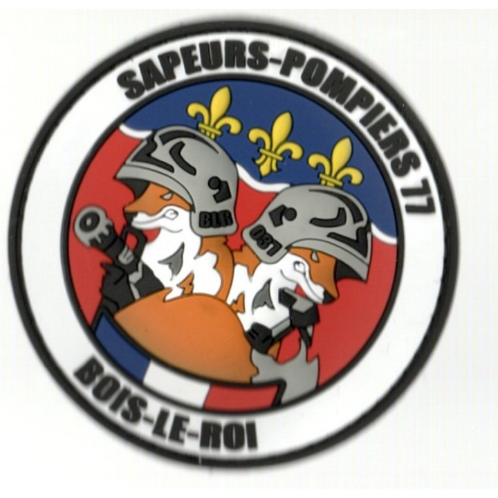 ECUSSONS POMPIERS BOIS LE ROI SDIS 77 2 RENARD