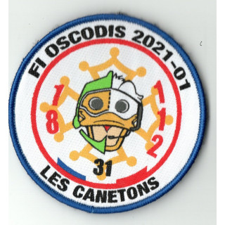 FI OSCODIS 2021 SDIS 31