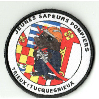 ECUSSONS JSP TRIEUX SDIS 54 TISSAGE