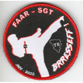 FAAR SGT 2022  SDIS 78