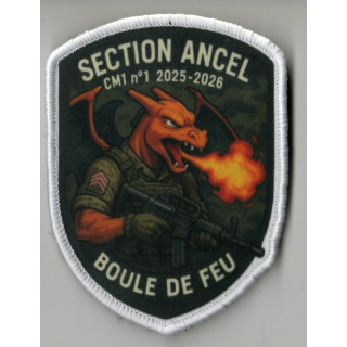 SECTION ANCEL BSPP