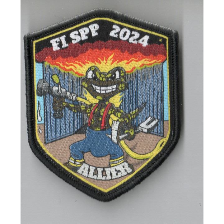 FI SPP 2024 SDIS 03