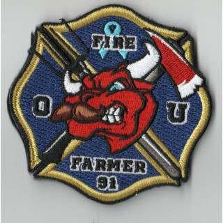 ECUSSONS POMPIERS LES ULIS SDIS 91 NOVEMBER  2025 FIRE FARMER