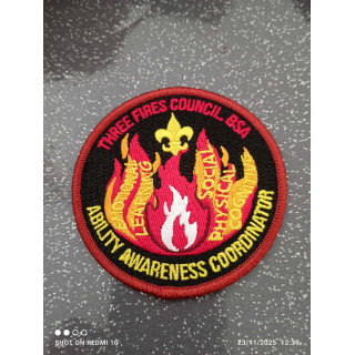 ECUSSON AMERICAIN ABILITY AWARENESS COORDINATOR