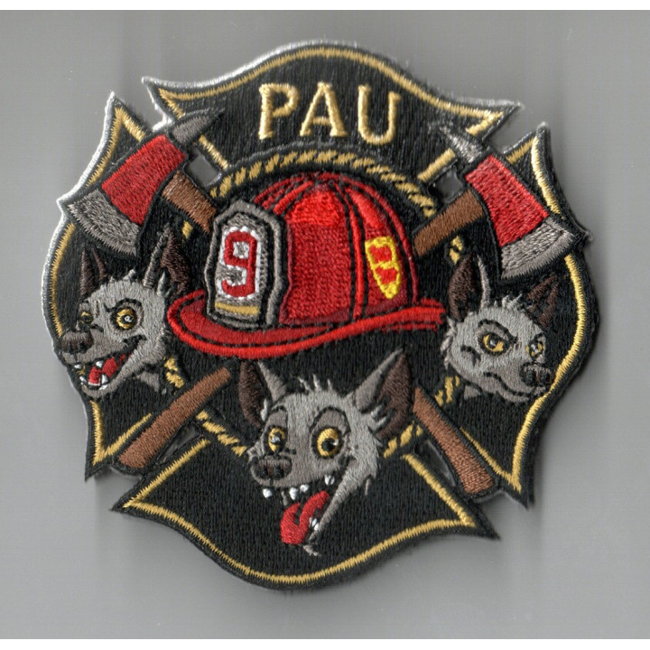 ECUSSONS POMPIERS PAU SDIS 64 GARDE 9